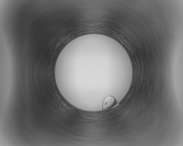 X0000116890427200912221008