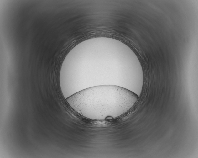 X0000116890428200912221008