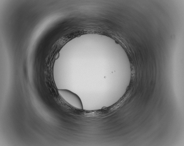 X0000116890430200912221008