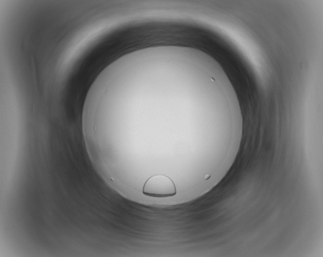X0000116890431200912221008