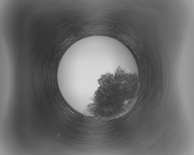 X0000116890432200912221008