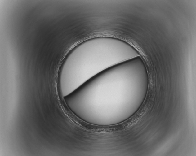 X0000116890434200912221007