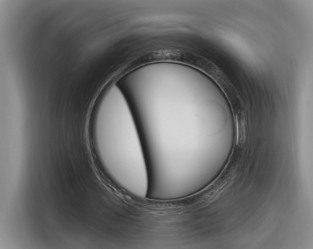 X0000116890435200912221007