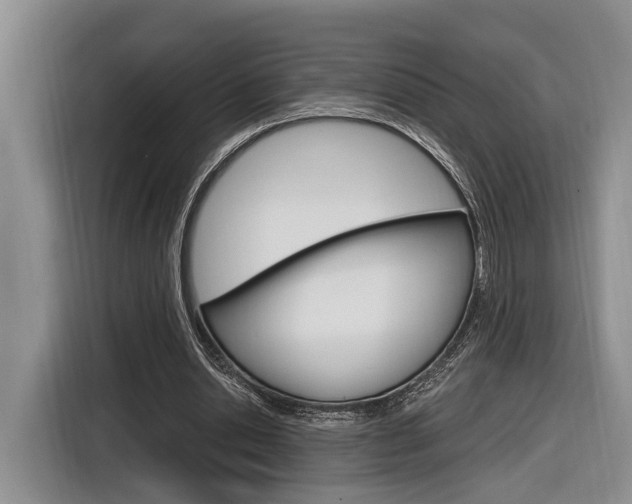 X0000116890438200912221007
