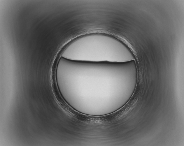 X0000116890439200912221007