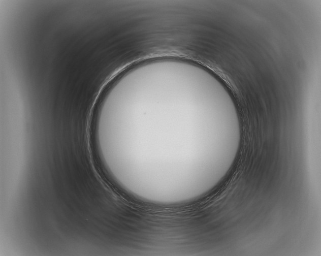 X0000116890440200912221007