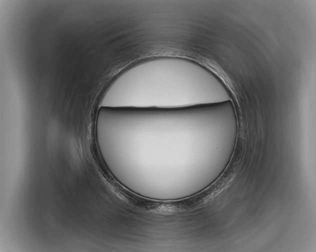 X0000116890441200912221007