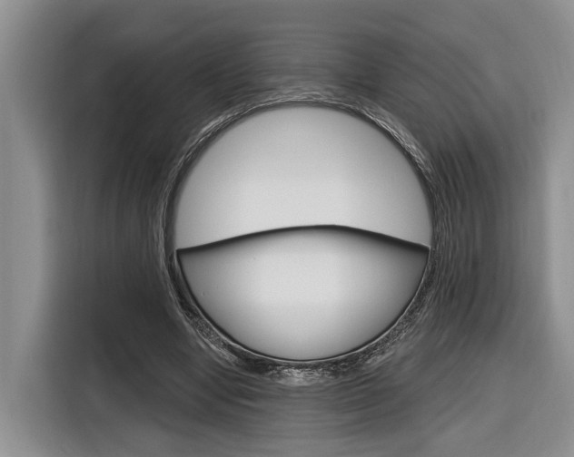 X0000116890442200912221007