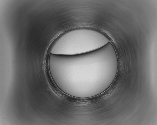 X0000116890443200912221007