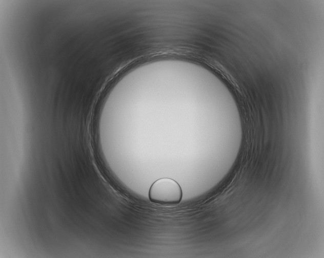 X0000116890444200912221007