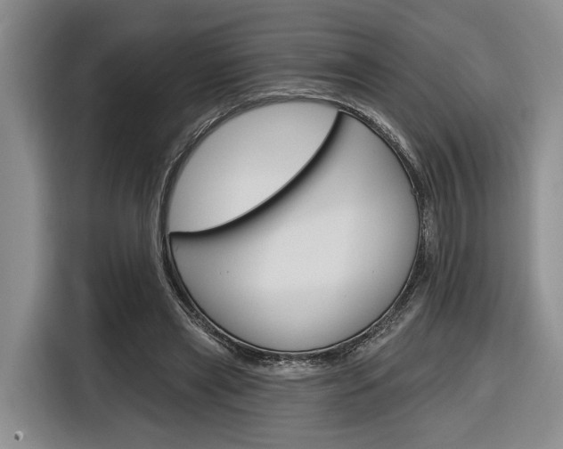 X0000116890445200912221007