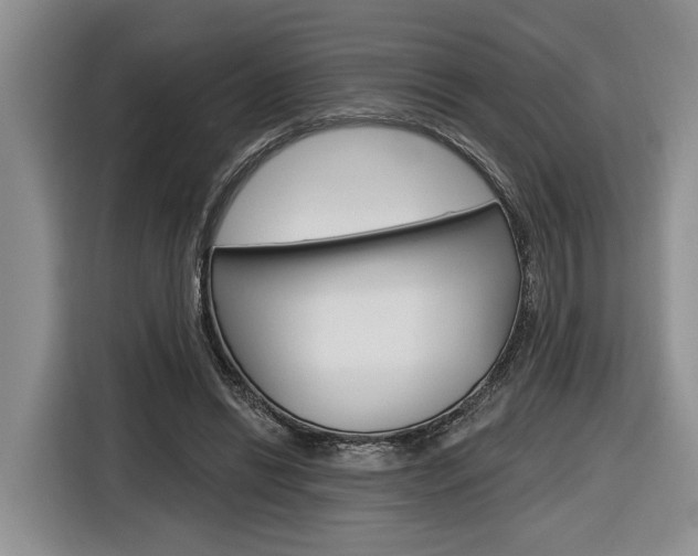 X0000116890446200912221007
