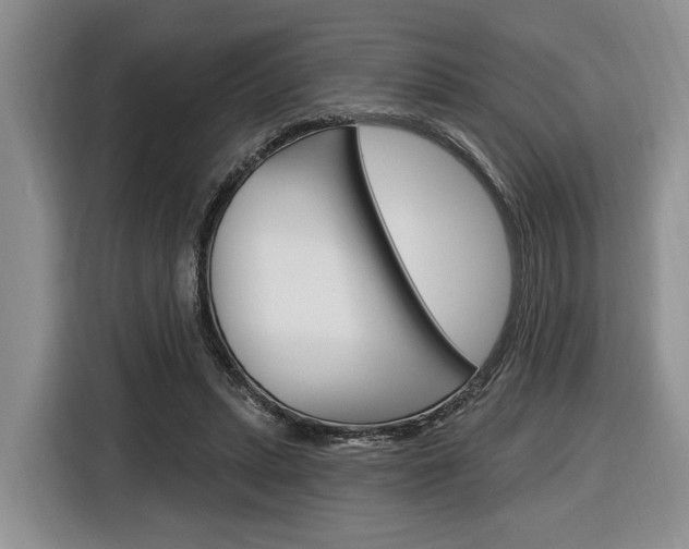 X0000116890447200912221007
