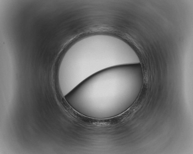 X0000116890448200912221007