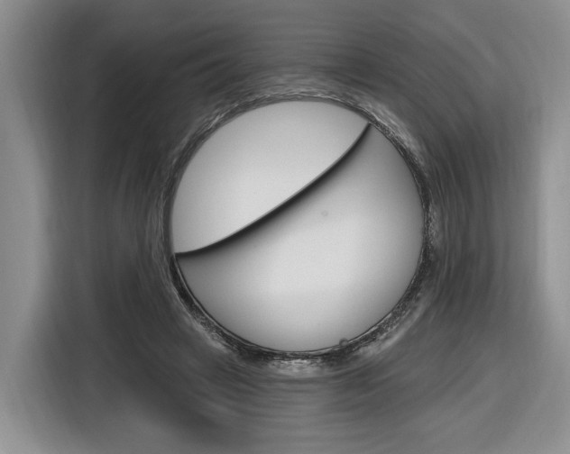 X0000116890449200912221007