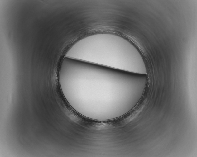 X0000116890453200912221007