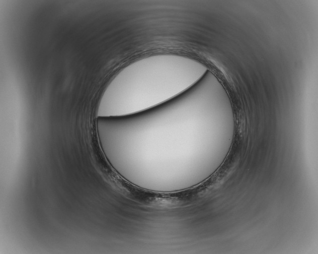 X0000116890455200912221007