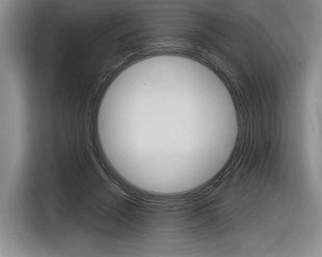 X0000116890456200912221007
