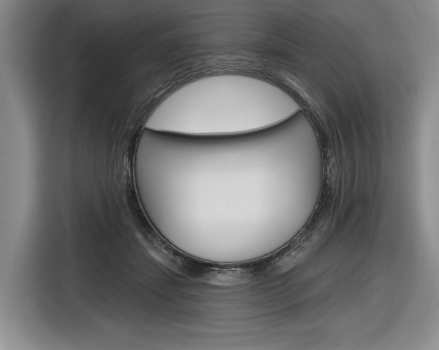 X0000116890459200912221007