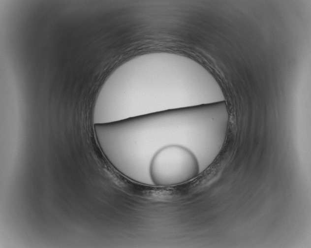 X0000116890462200912221008