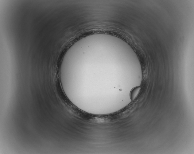 X0000116890464200912221008