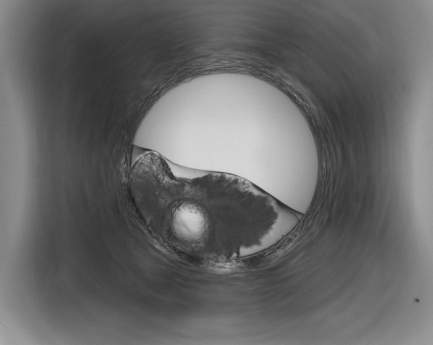 X0000116890465200912221008