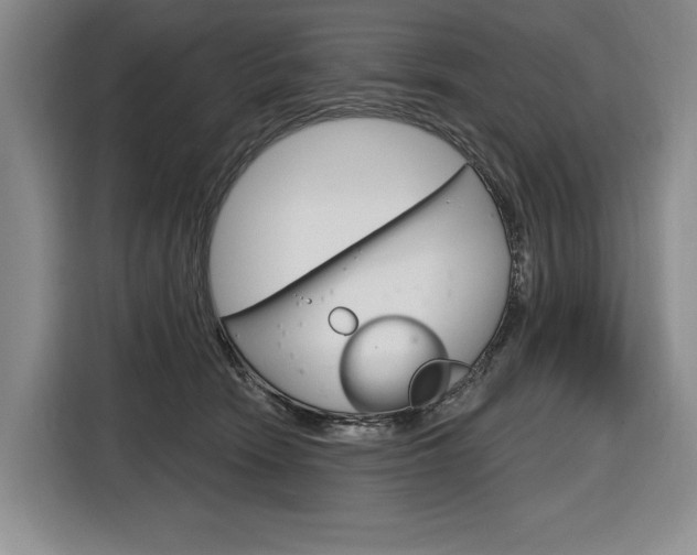 X0000116890466200912221008