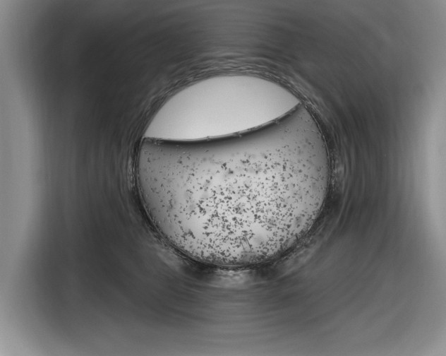 X0000116890469200912221008