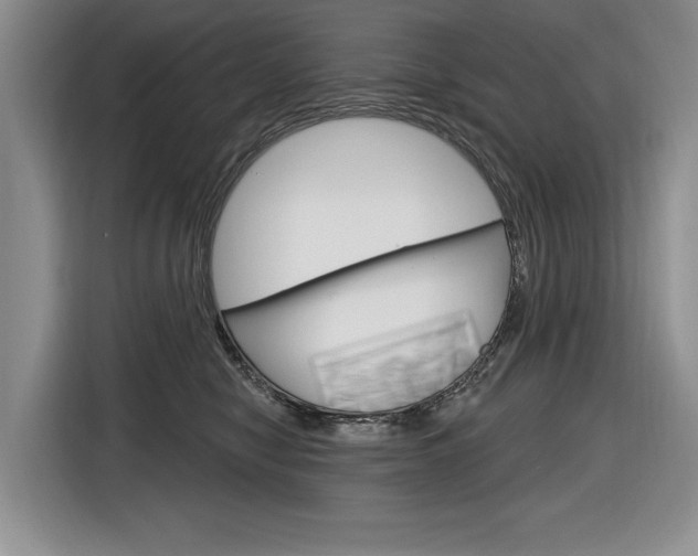 X0000116890470200912221008