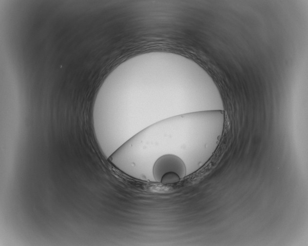 X0000116890471200912221008