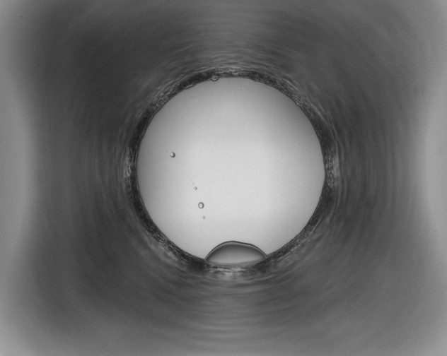 X0000116890472200912221008