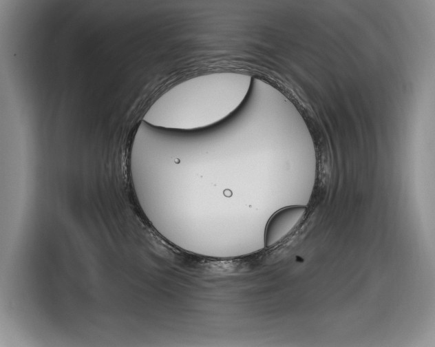 X0000116890473200912221008