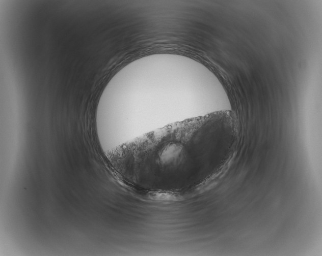 X0000116890475200912221008