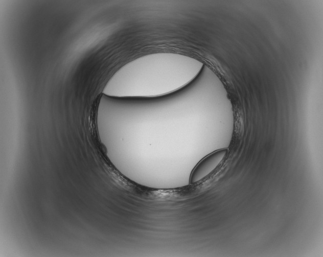 X0000116890477200912221008