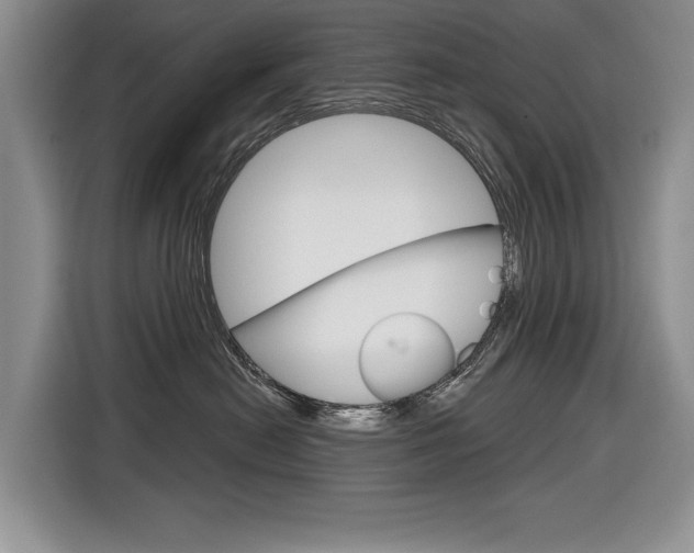 X0000116890478200912221008