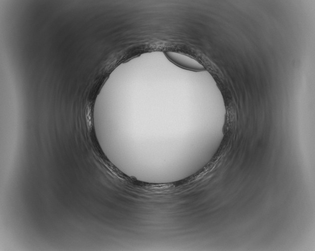 X0000116890479200912221008