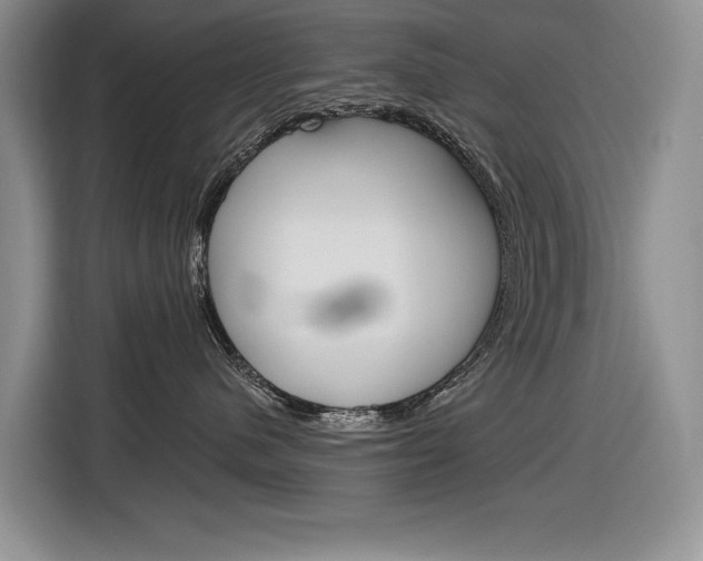 X0000116890480200912221008
