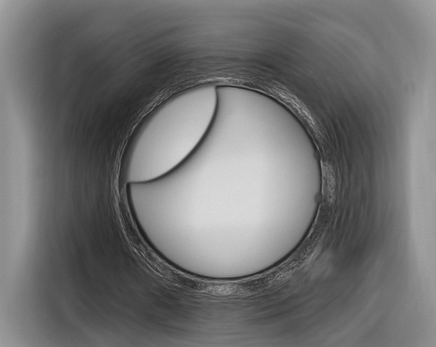 X0000116890482200912221007