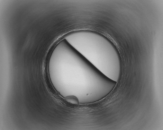 X0000116890483200912221007