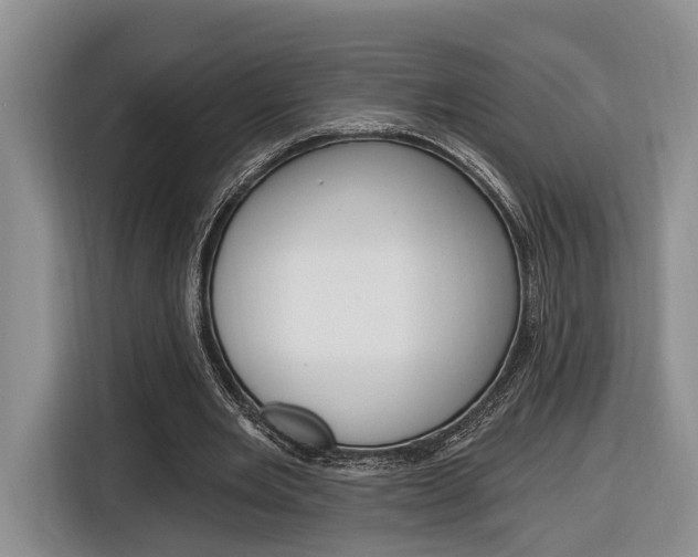 X0000116890485200912221007