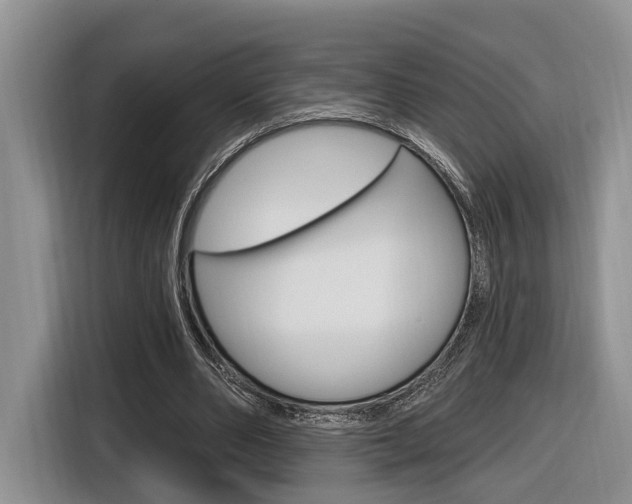 X0000116890486200912221007