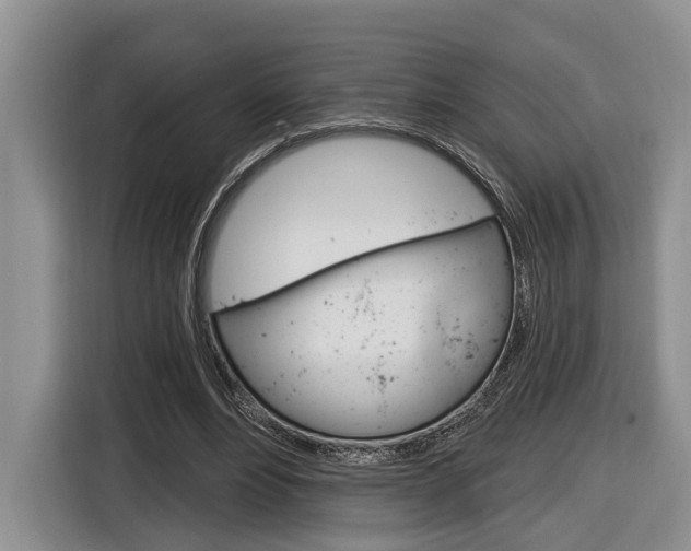 X0000116890488200912221007