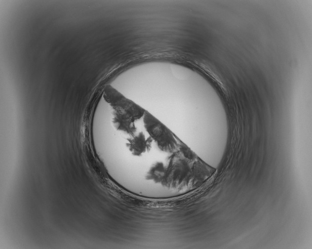 X0000116890491200912221007