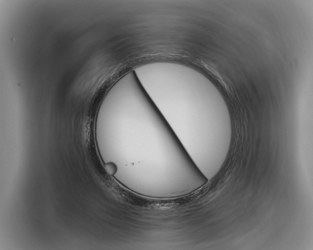 X0000116890495200912221007