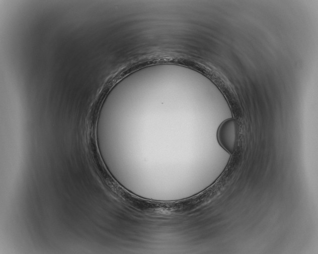 X0000116890496200912221007