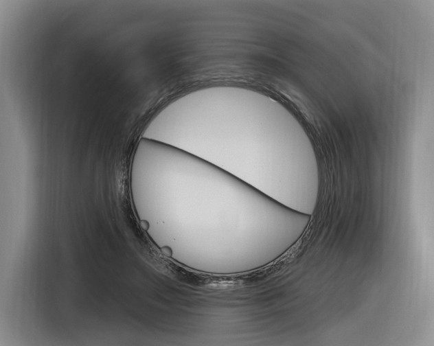 X0000116890499200912221007
