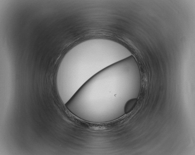 X0000116890500200912221007