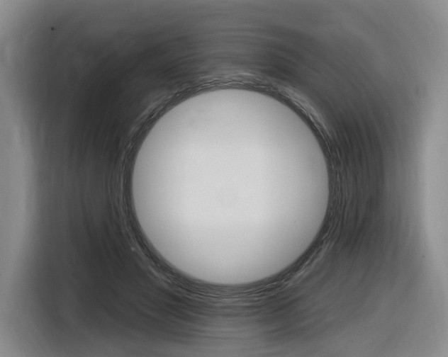 X0000116890501200912221007