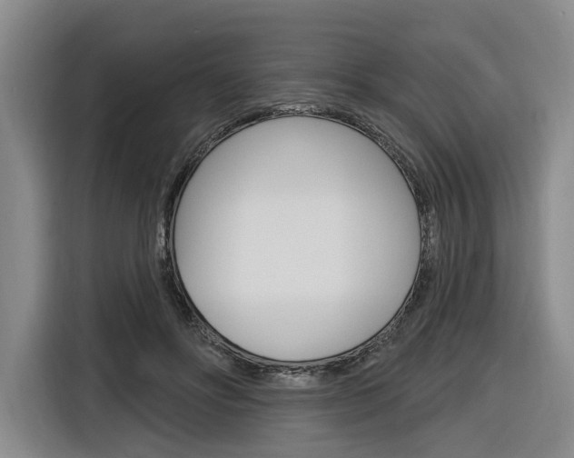 X0000116890502200912221007