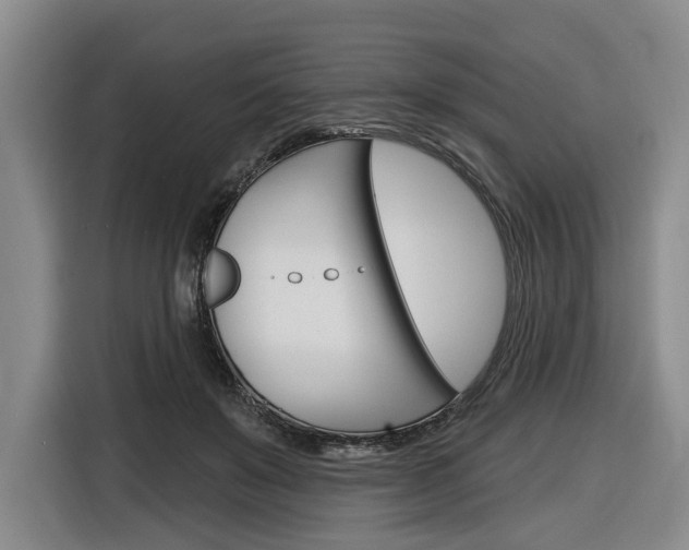 X0000116890503200912221007
